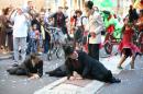 La Parade des Artistes 034 * 4368 x 2912 * (4.6MB)